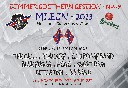 plakat mlejn 2013