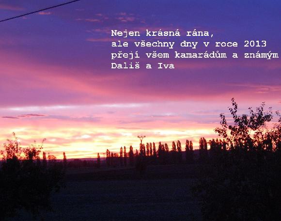 dalis-2013.jpg